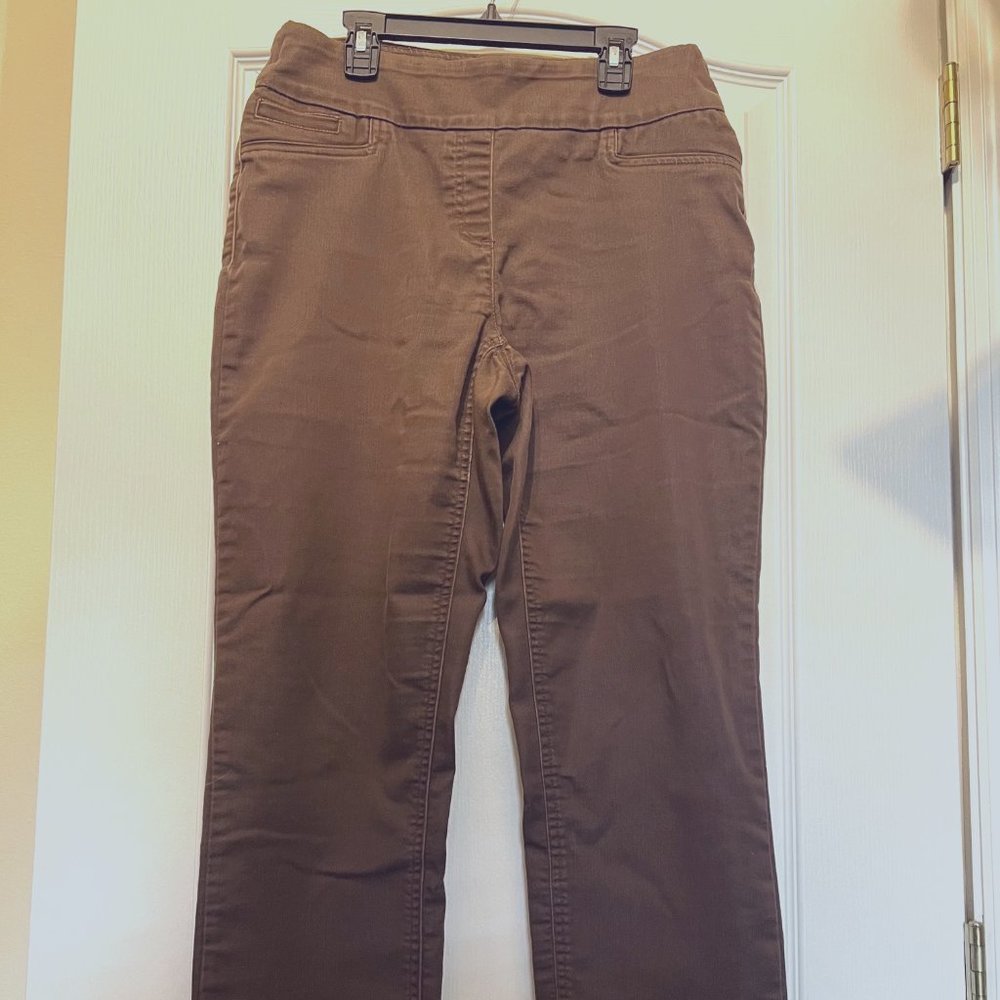 Bionco Nygord Stretch Pull On Women's Pants-Tummy Control-Comfy-Size 10 R-Brown